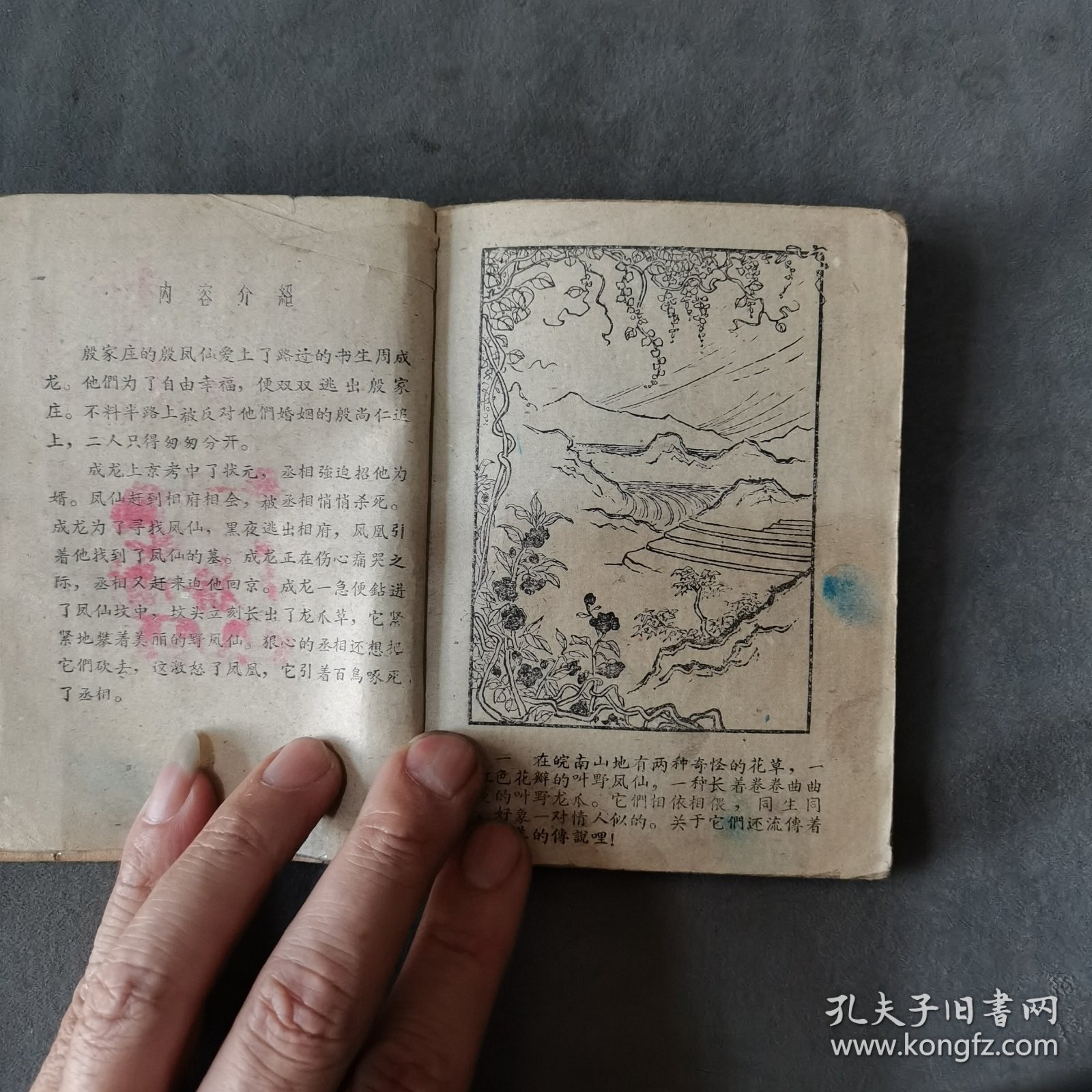 1960年8月 郑若泉繪图 凤仙与龙爪 一册