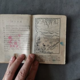 1960年8月 郑若泉繪图 凤仙与龙爪 一册