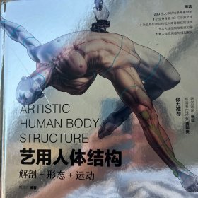 艺用人体结构 解剖形态运动