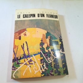 32开：le calepin d'un flaneur (闲逛者的笔记本)