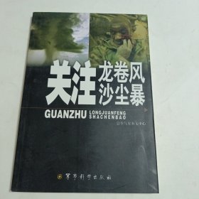 关注龙卷风沙尘暴