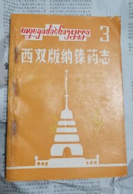 西双版纳傣药志