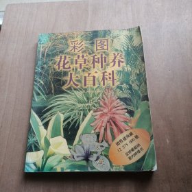 彩图花草种植大百科