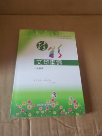 精彩文句集锦(中小学作文教学参考书，文学爱好者必备案头书）)