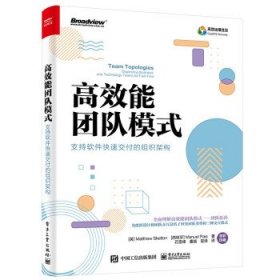 高效能团队模式：支持软件快速交付的组织架构（全彩）