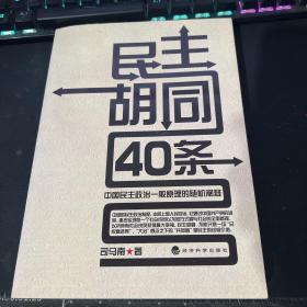 民主胡同40条：中国民主政治一般原理的随机阐释