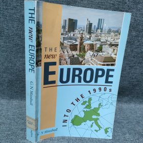 The New Europe Into the 1990s 90年代的新欧洲