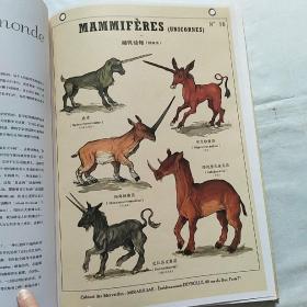博物学家的神秘动物图鉴