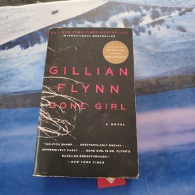 Gone Girl: A Novel消失的爱人 英文原版