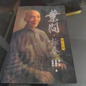 叶问咏春拳实战技巧