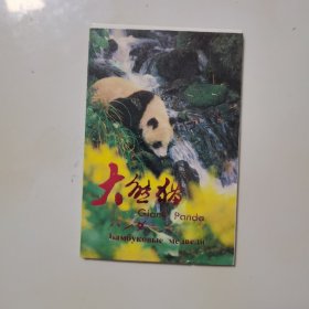大熊猫 明信片10张