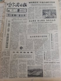 《哈尔滨日报》【“乘客满意奖”评选活动昨日结束，计票工作正抓紧进行，有照片；（辽宁省抚顺市雷锋小学三年级学生）十岁儿童吴大可归纳出《序数推算法》，有照片】