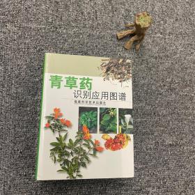 青草药识别应用图谱