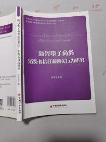 新兴电子商务消费者信任和购买行为研究