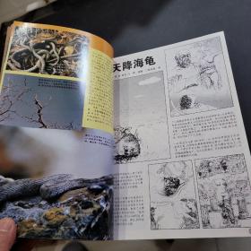 奥秘2003年8-12期合订本