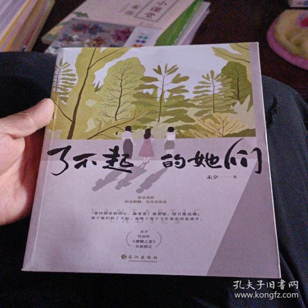 了不起的她们（知名情感小说作家&金牌编剧未夕代表作《糟糠之妻》全新修订版）