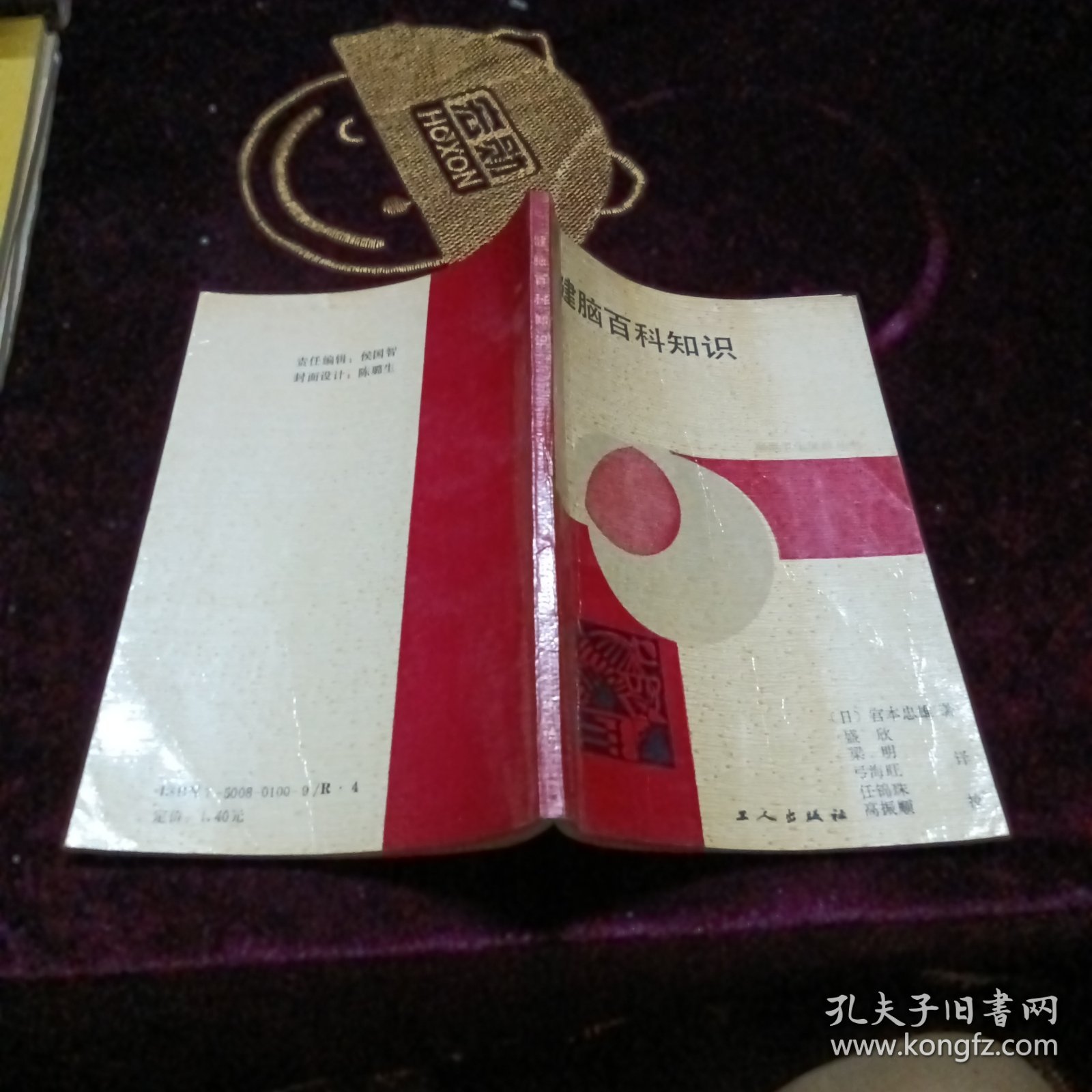 健脑百科知识