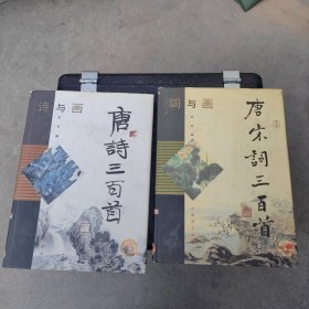 词与画:唐宋词三百首 2册合售