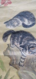 双猫图
