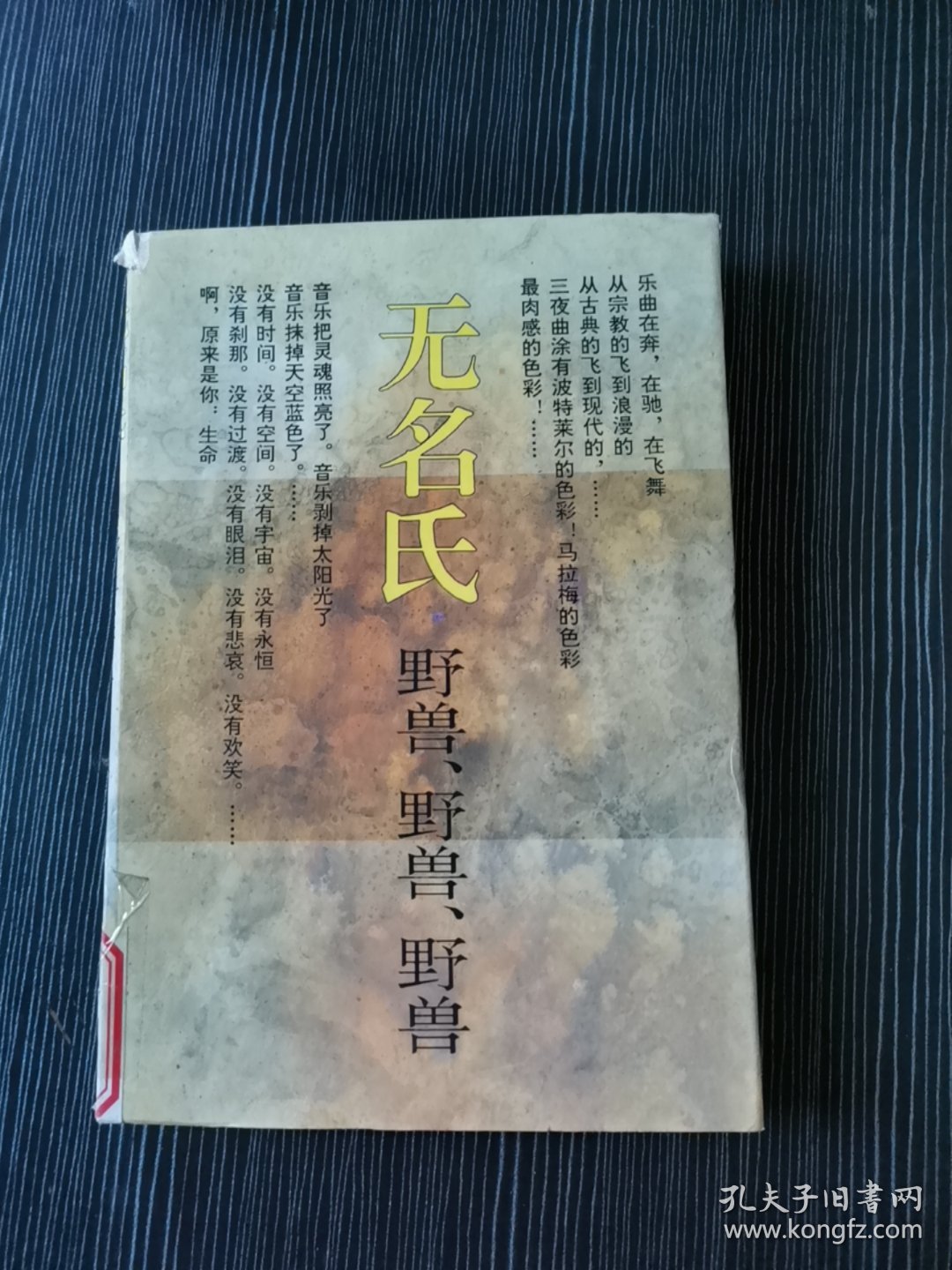 无名氏作品系列 野兽、野兽、野兽