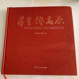群星耀高原--------青海省群众文化美术书法摄影作品精品集