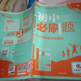 理想树2021版 初中必刷题 化学九年级下册