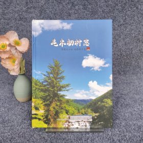 毛木初村志