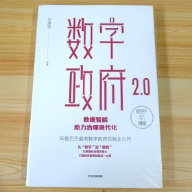 数字政府2.0：数据智能助力治理现代化