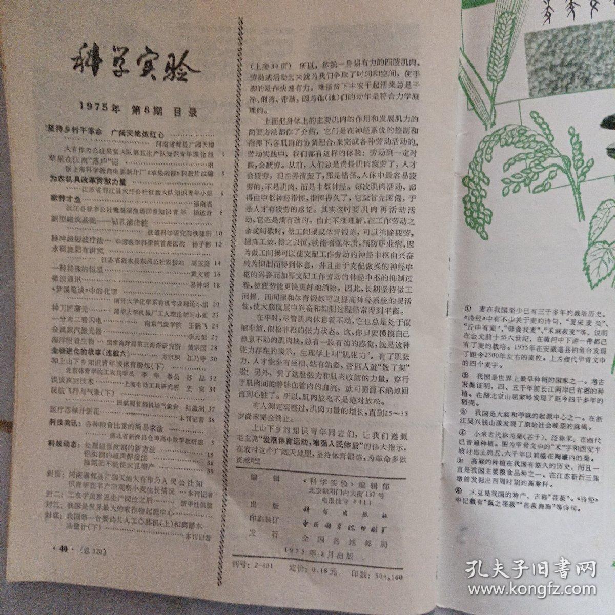 科学实验1975   第8期