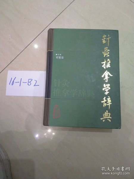 针灸推拿学辞典