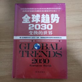 全球趋势2030：变幻的世界（精装）