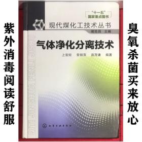 现代煤化工技术丛书：气体净化分离技术