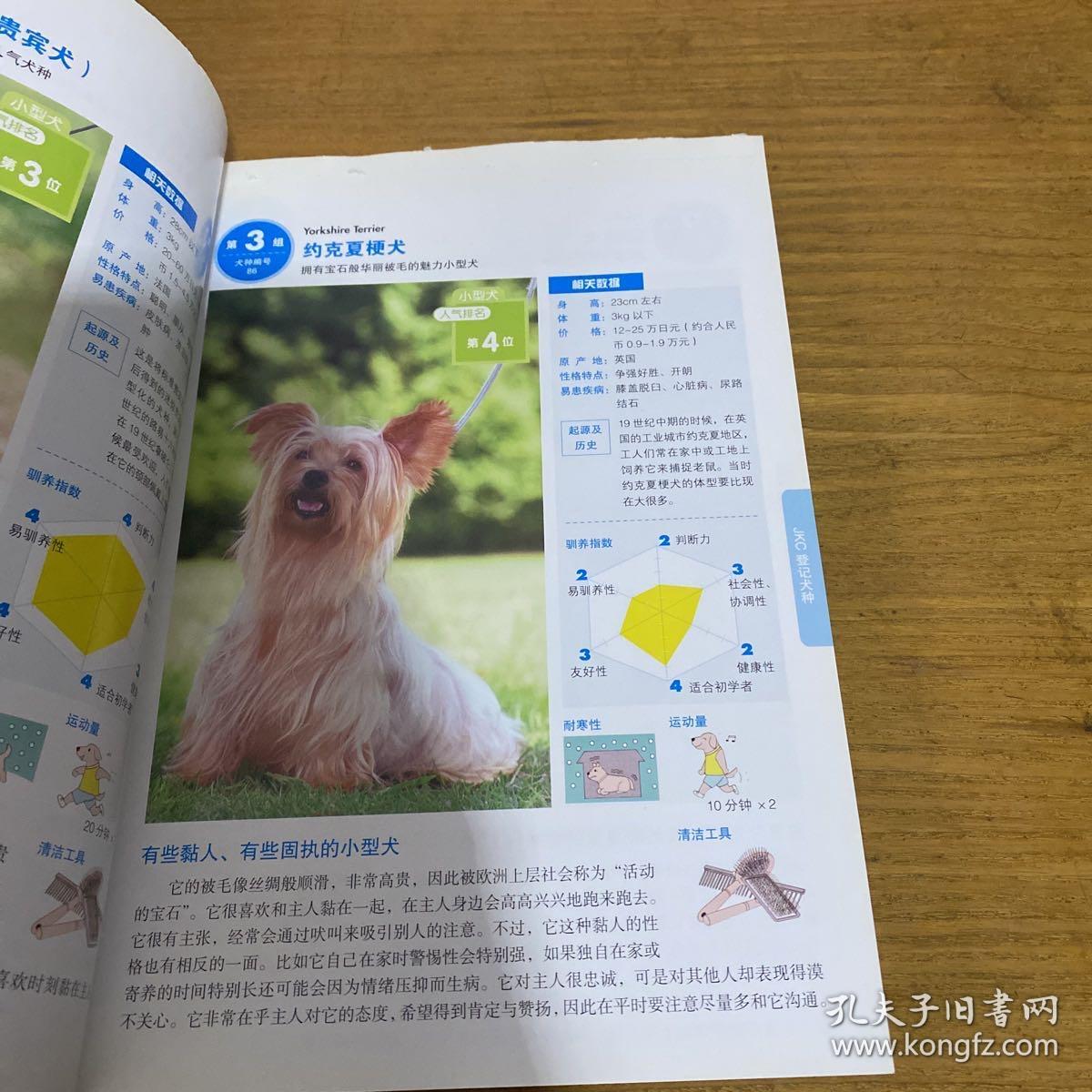 名犬图鉴：世界331种名犬驯养与鉴赏图典【实物拍照现货正版】