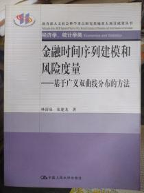 金融时间序列建模和风险度量：基于广义双曲线分布的方法（经济学、统计学类）