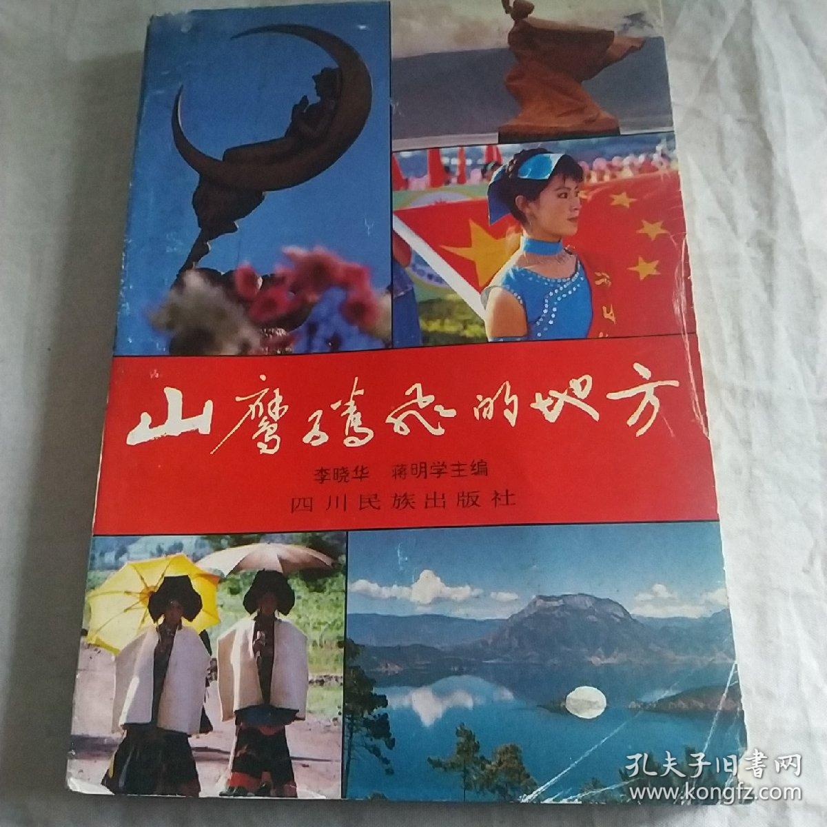 山鹰腾飞的地方—纪念凉山彝族自治州建国40周年通讯.特写.散文集