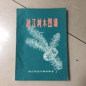 浙江树木图谱（一）（15）