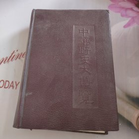 中华野史大傅览 精装 有水印 黄斑 看图