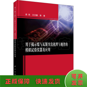 用于揭示煤与瓦斯突出机理与规律的模拟试验仪器及应用