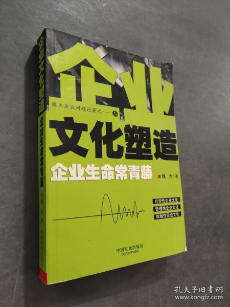 企业文化塑造：企业生命常青藤