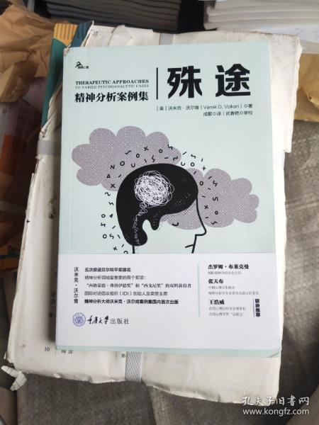 殊途：精神分析案例集