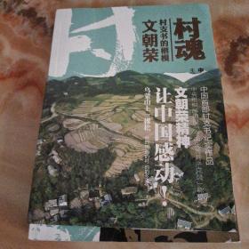 村魂 : 村支书的楷模全国优秀党员贵州海雀村文朝
荣