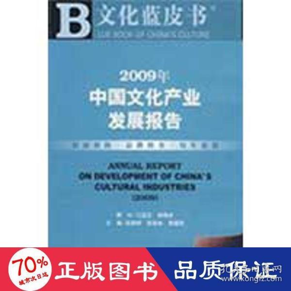 2009年中国文化产业发展报告