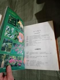 中国花经 上海文化出版社 精装 724页