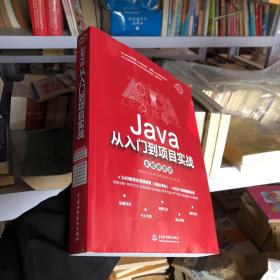 Java从入门到项目实战（全程视频版）