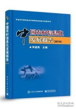 中国农村信息化发展报告(2018) 