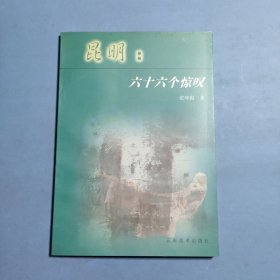 昆明：六十六个惊叹