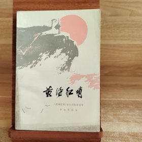 黄海红哨