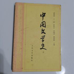 中国文学史（三）