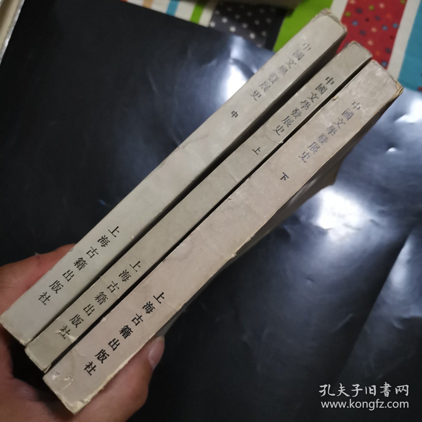 中国文学发展史（上中下）