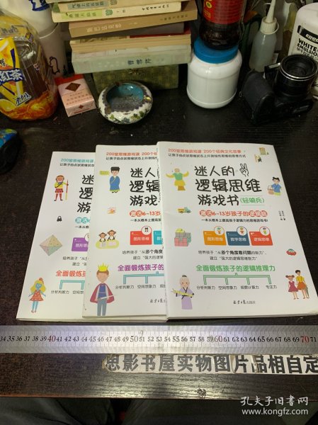 迷人的逻辑思维游戏书（全3册）